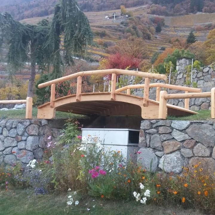 Petit pont en bois avec garde-corps arrondis dans un jardin